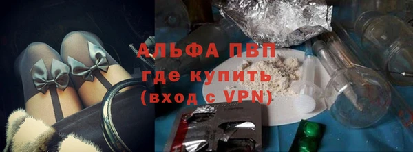 дживик Вяземский