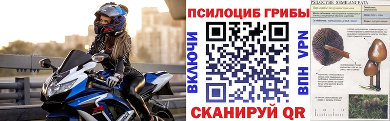 Галлюциногенные грибы мицелий  blacksprut ССЫЛКА  Самара  как найти  